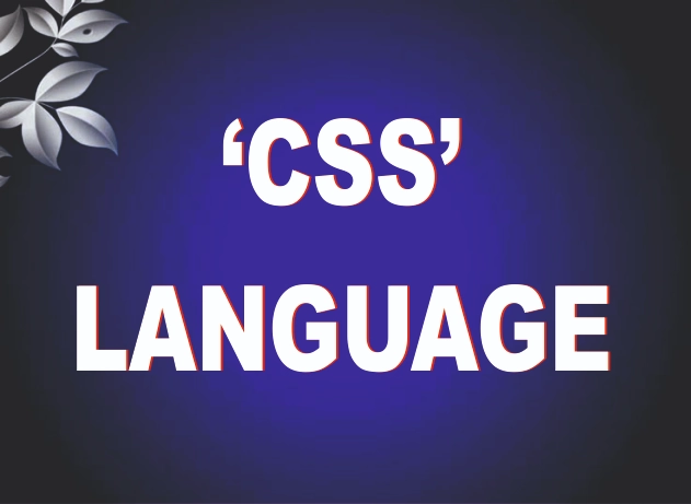 CSS LANGUAGE
