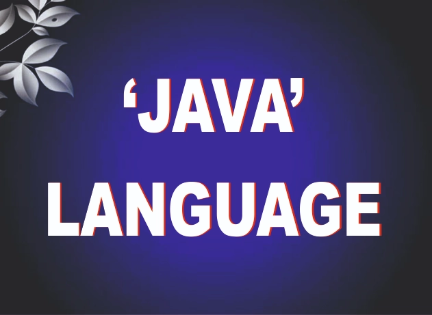 JAVA LANGUAGE